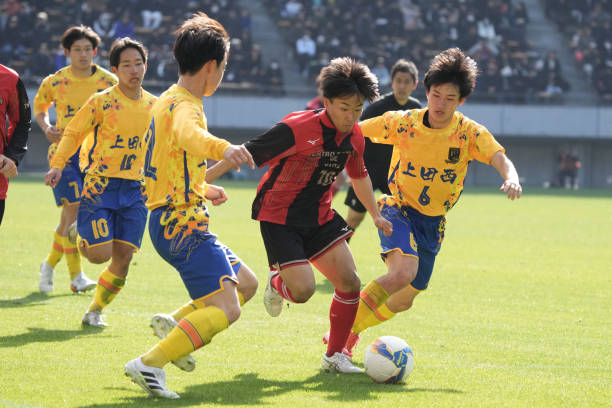 总结来看 总结来看